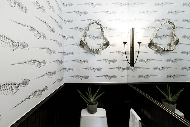 Abnormals Anonymous / Bruce / Cool Hand Luke