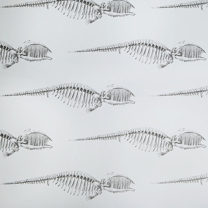 Abnormals Anonymous / Bruce / Cool Hand Luke