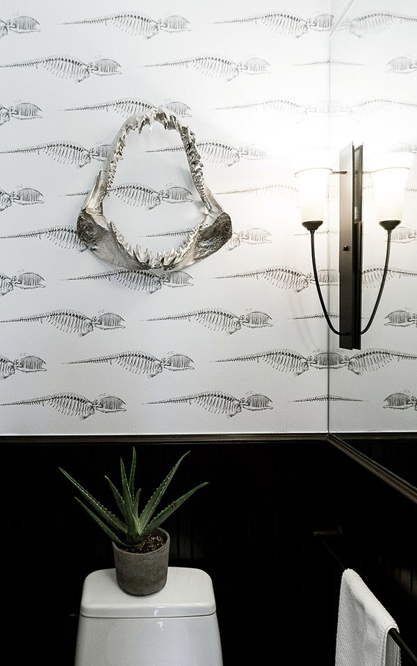 ※色違いの商品です