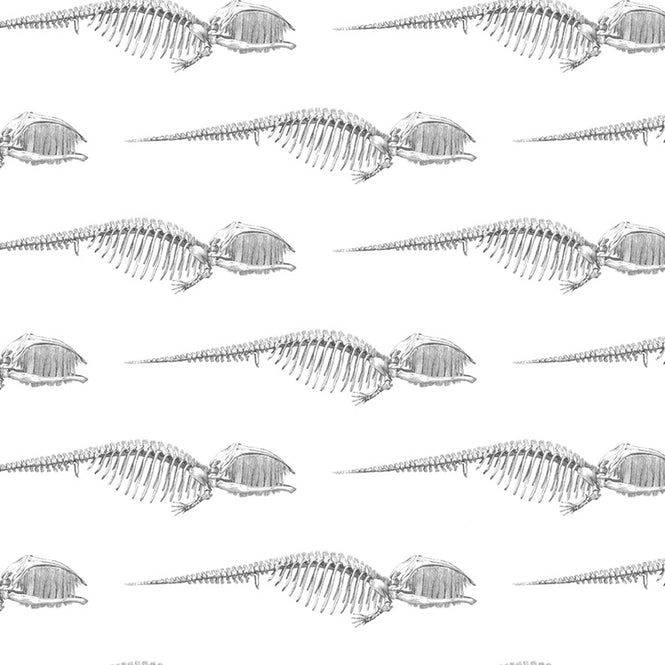 Abnormals Anonymous / Bruce / Men in Black