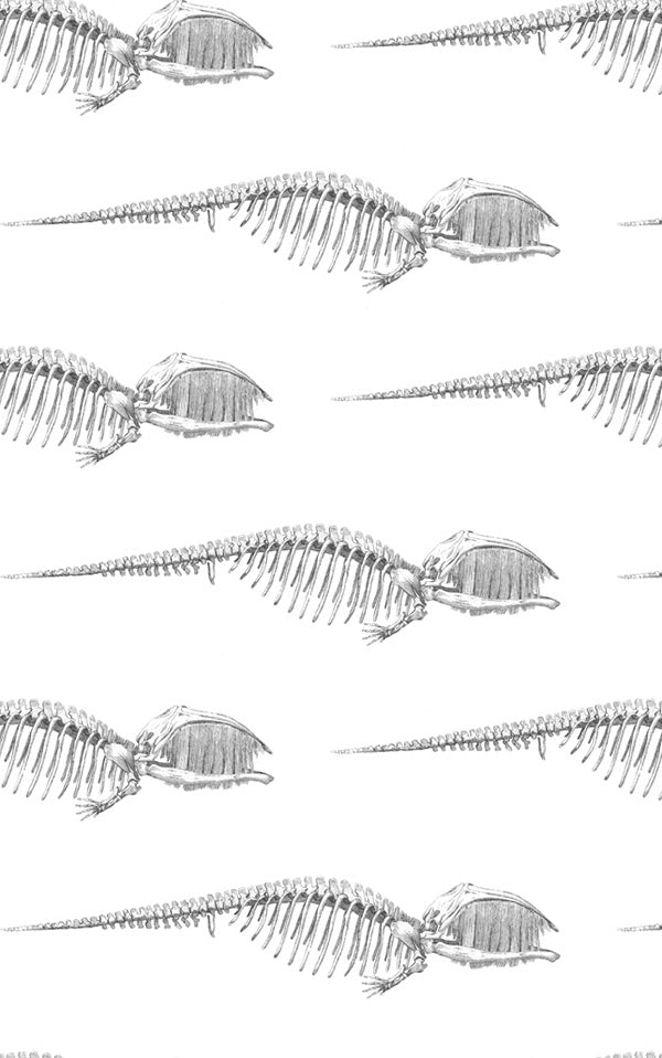 Abnormals Anonymous / Bruce / Men in Black