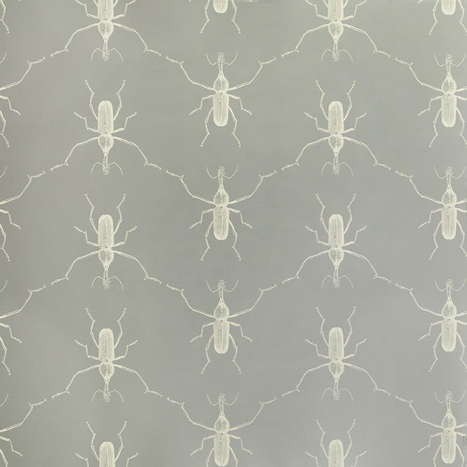 Abnormals Anonymous / Buggie / Grey's Anatomy