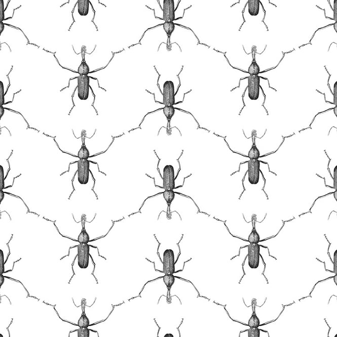 Abnormals Anonymous / Buggie / Men in Black