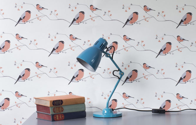 Lorna Syson / Bullfinch