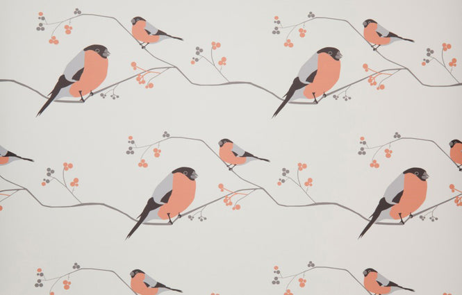 Lorna Syson / Bullfinch
