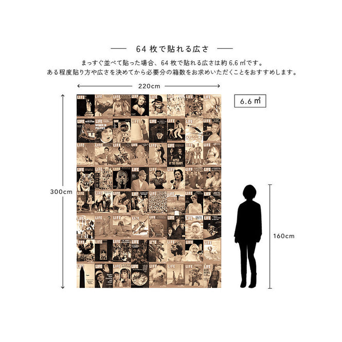 【限定数】1 Wall / Creative Collage CLASSIC TYPOGRAPHY CREATIVE COLLAGE