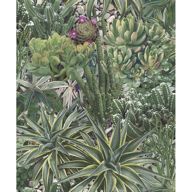 Vilber / CACTUS / TENERIFE 2829 W-20