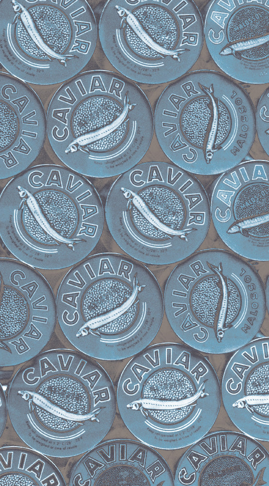 Malz & Malz Interieur / Caviar(S)/Embers Blue