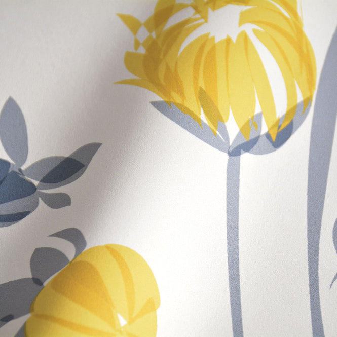 Lorna Syson / Chrysanthemum