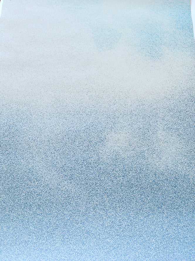 【限定数】Domestic /  Ciel - floccus Benjamin Graindorge NDL045
