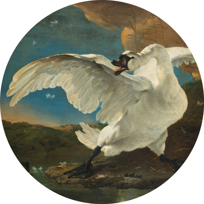 KEK Amsterdam / FLORA & FAUNA / WALLPAPER CIRCLES THREATENED SWANN CK-004