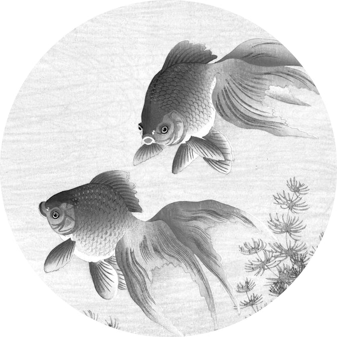 KEK Amsterdam / FLORA & FAUNA / WALLPAPER CIRCLES GOLDFISH CK-005