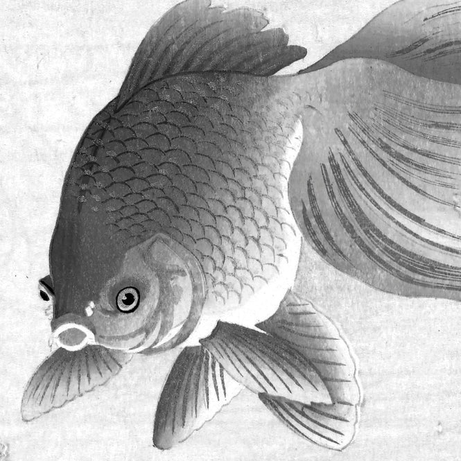 KEK Amsterdam / FLORA & FAUNA / WALLPAPER CIRCLES GOLDFISH CK-005