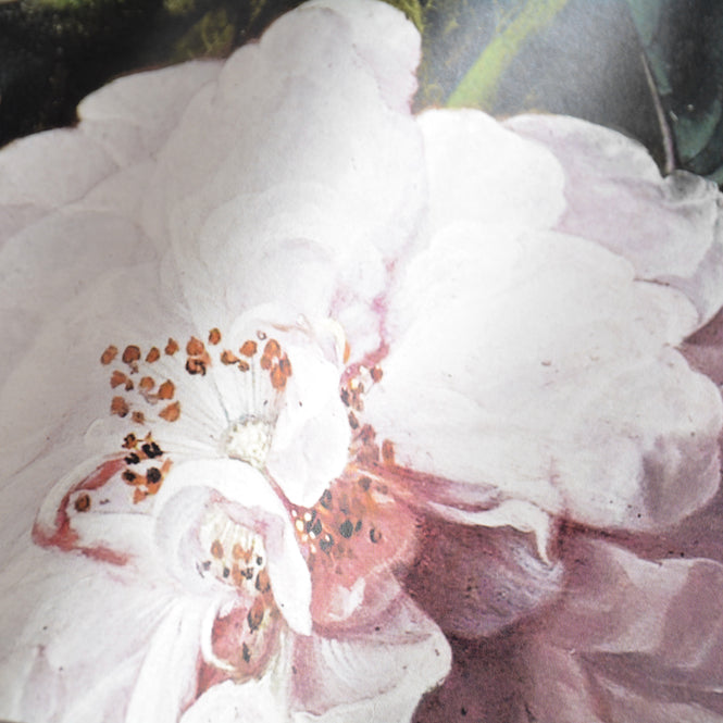 KEK Amsterdam / FLORA & FAUNA / WALLPAPER CIRCLES GOLDEN AGE FLOWERS CK-012