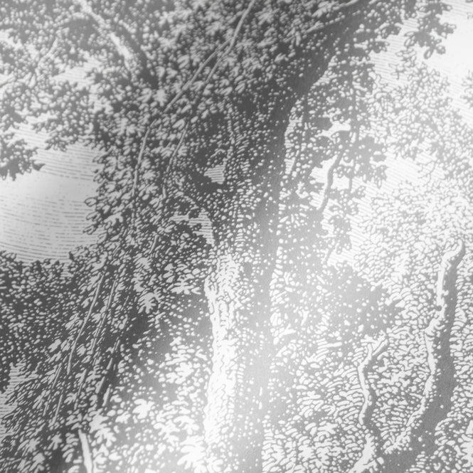 KEK Amsterdam / WALLPAPER 2020 / WALLPAPER CIRCLES ENGRAVED TREE CK-013