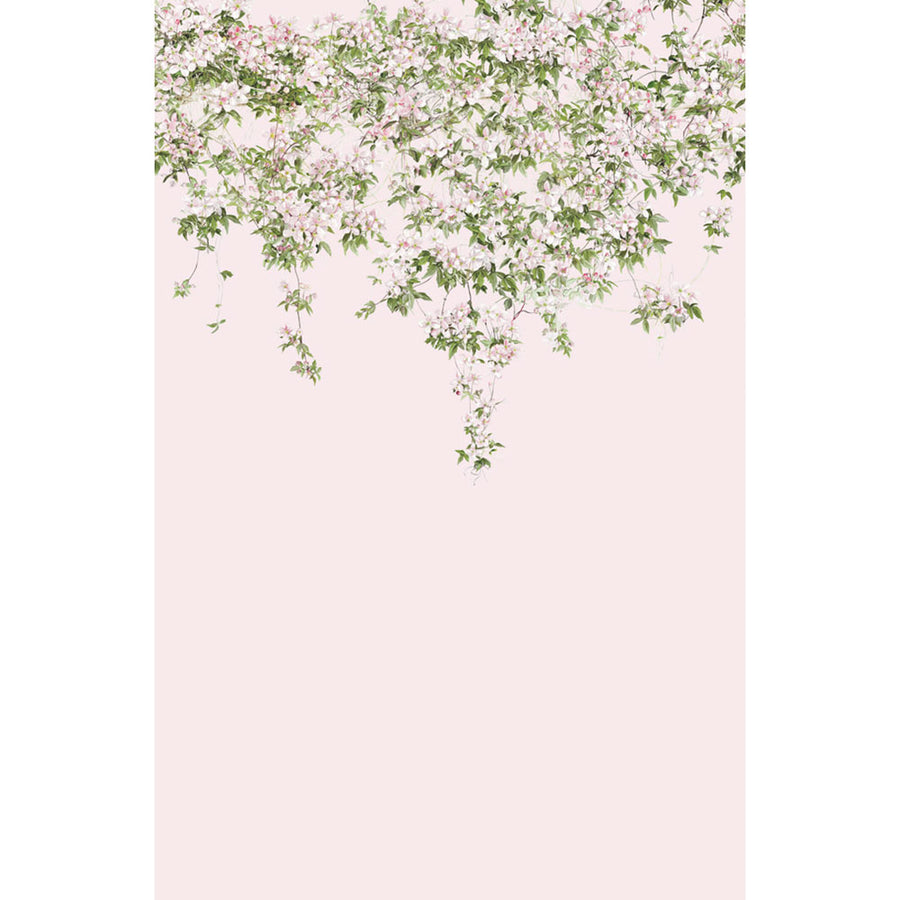 Sian Zeng / Clematis Mural Wallpaper / Pink ClemP 【3パネル1セット】