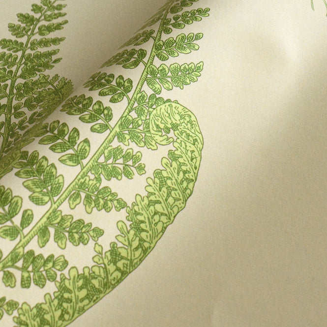 Sanderson / ONE SIXTY WALLPAPER COLLECTION / Woodland Ferns Green DAPGWO102