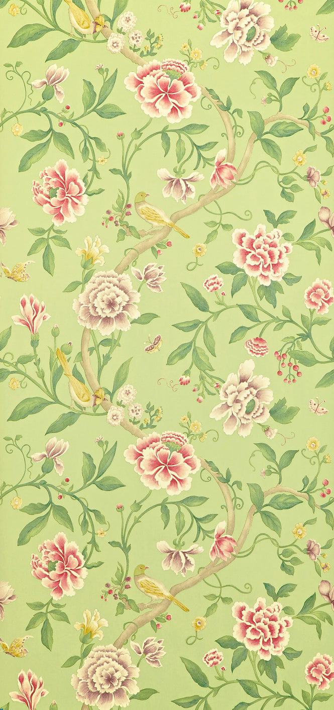Sanderson / ONE SIXTY WALLPAPER COLLECTION / Porcelain Garden Rose / Fennel DCAVPO101
