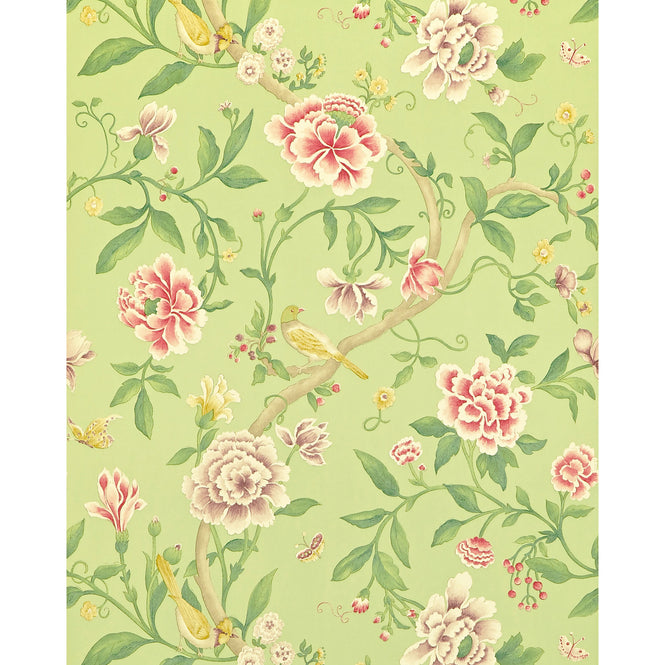 Sanderson / ONE SIXTY WALLPAPER COLLECTION / Porcelain Garden Rose / Fennel DCAVPO101