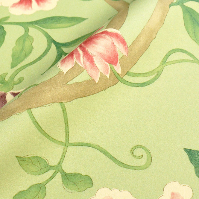 Sanderson / ONE SIXTY WALLPAPER COLLECTION / Porcelain Garden Rose / Fennel DCAVPO101