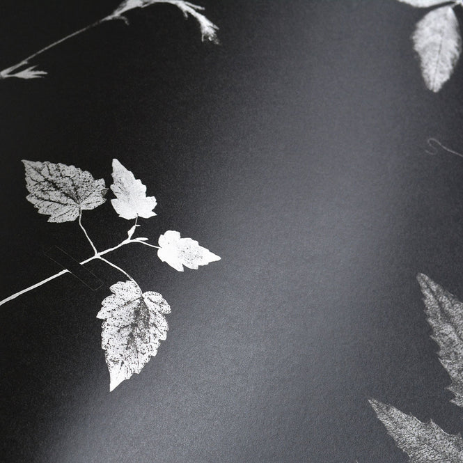 Studio DeSimoneWayland / VOLUME1 / DUTCH GARDEN BLACK VO1-DG-BL【MATTE COATED】【4ロールセット】