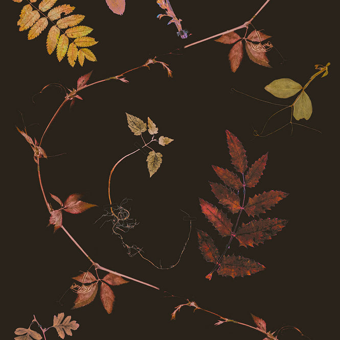 Studio DeSimoneWayland / VOLUME1 / DUTCH GARDEN COPPER VO1-DG-CO【MATTE COATED】【4ロールセット】