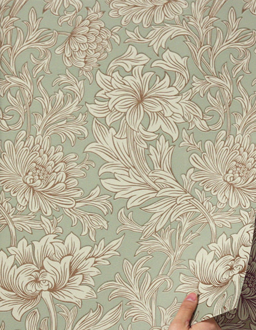 MORRIS & Co.(ウィリアム・モリス) / MORRIS V Wallpapers / Chrysanthemum Toile / 216861(DMOWCH104)
