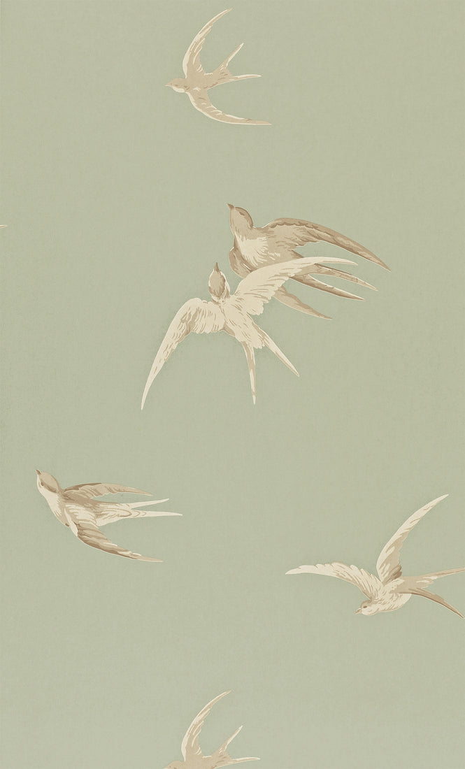 Sanderson / ONE SIXTY WALLPAPER COLLECTION / Swallows Pebble DVIWSW102