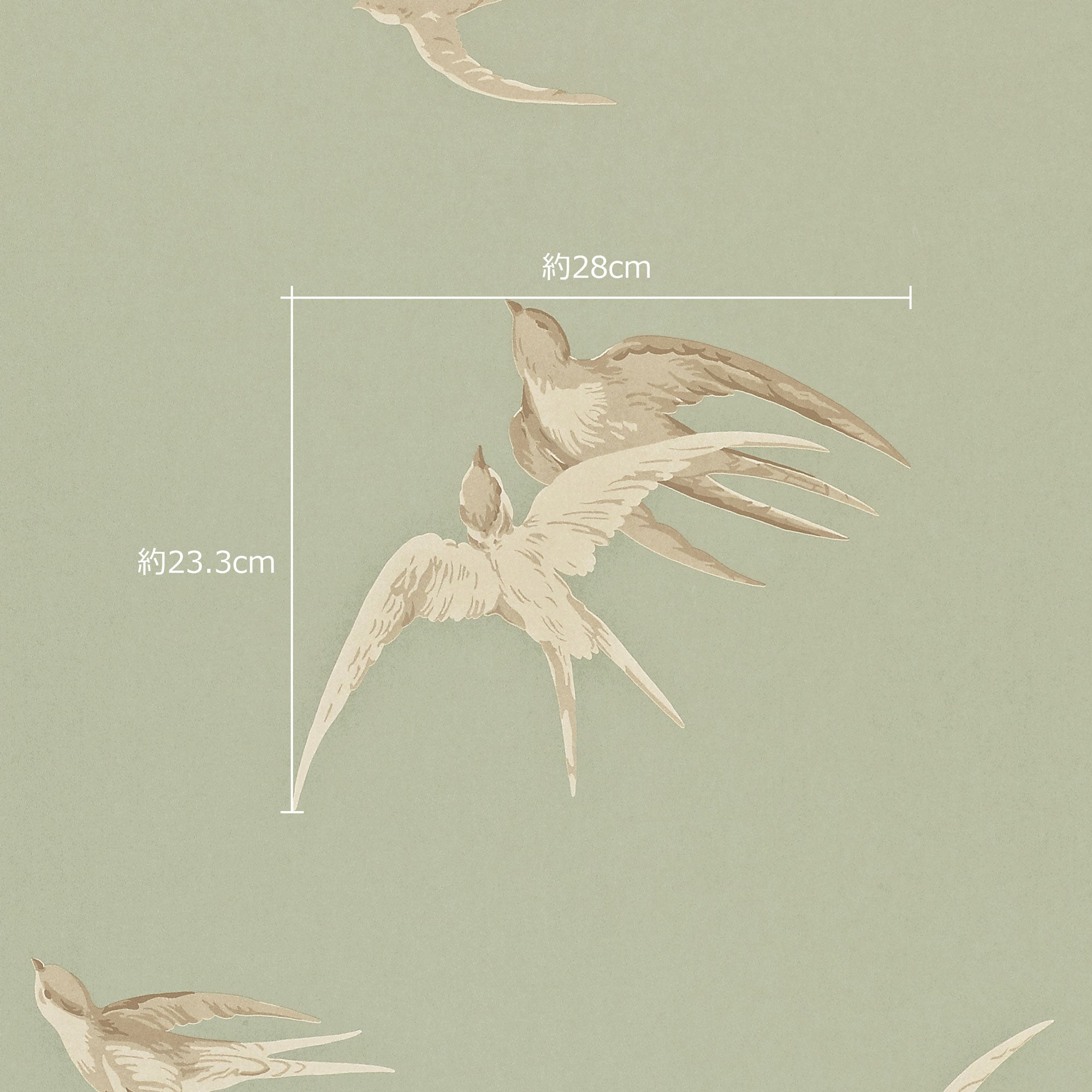 Sanderson / ONE SIXTY WALLPAPER COLLECTION / Swallows Pebble