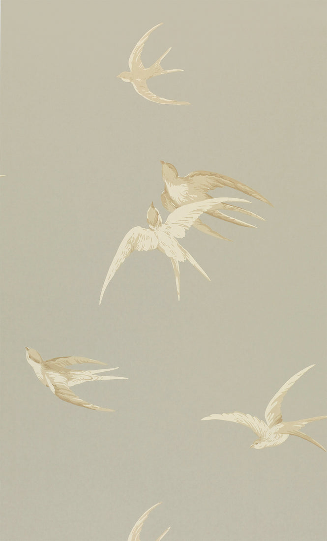 Sanderson / ONE SIXTY WALLPAPER COLLECTION / Swallows Silver DVIWSW104