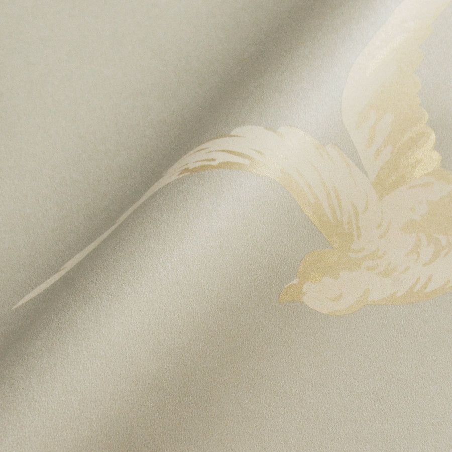 Sanderson / ONE SIXTY WALLPAPER COLLECTION / Swallows Silver DVIWSW104