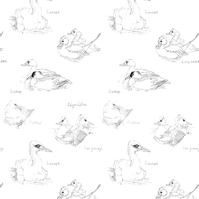 Elli Popp / Gannet + Gargany / ECP102-01 matt