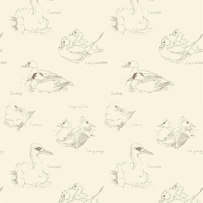 Elli Popp / Gannet + Gargany / ECP102-02 pearl