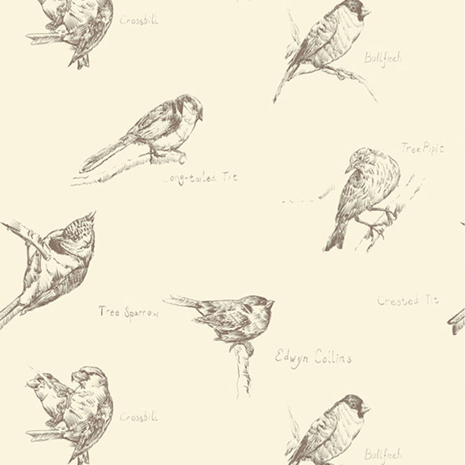Elli Popp / Crested Tit / ECP104-02 matt