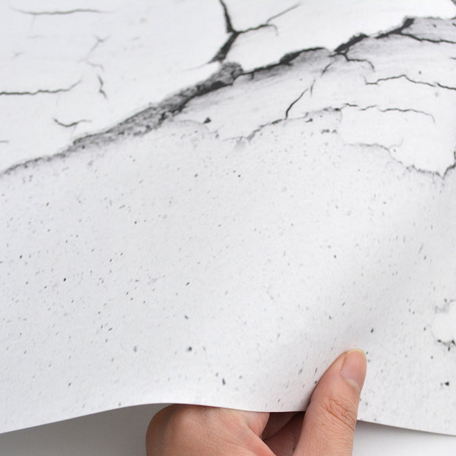 neoDKO / OBJET DE CURIOSITE オブジェデキュリオシティ Mur Craquele epp366a