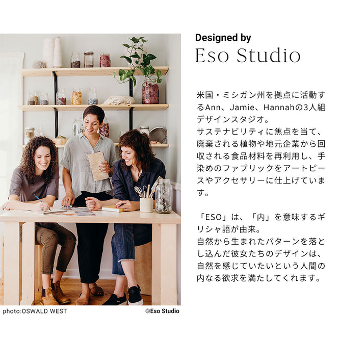 【Flax Wallpaper】Eso Studio / CATALINA / BLACK FWP-ESO-03【2パネル1セット】