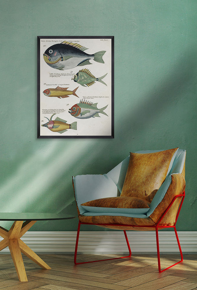 MINDTHEGAP WALL ART / Poissons Ecrevis VII  FA12502