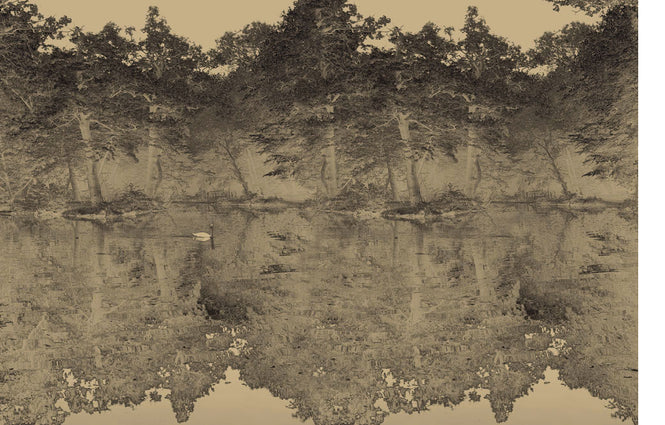 FEATHR / BOOK04 / SWAN Charcoal FE06103