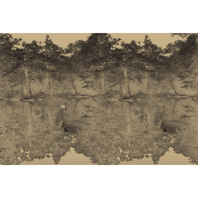 FEATHR / BOOK04 / SWAN Charcoal FE06103