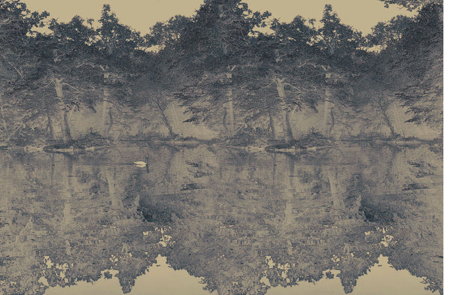 FEATHR / BOOK04 / SWAN Blue FE06104