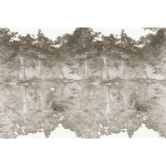 FEATHR / BOOK04 / SWAN Chestnut FE06107