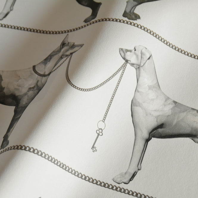 FEATHR / BOOK04 / YOU DON'T FIND THE LIGHT AVOIDING THE DARKNESS Cotswold