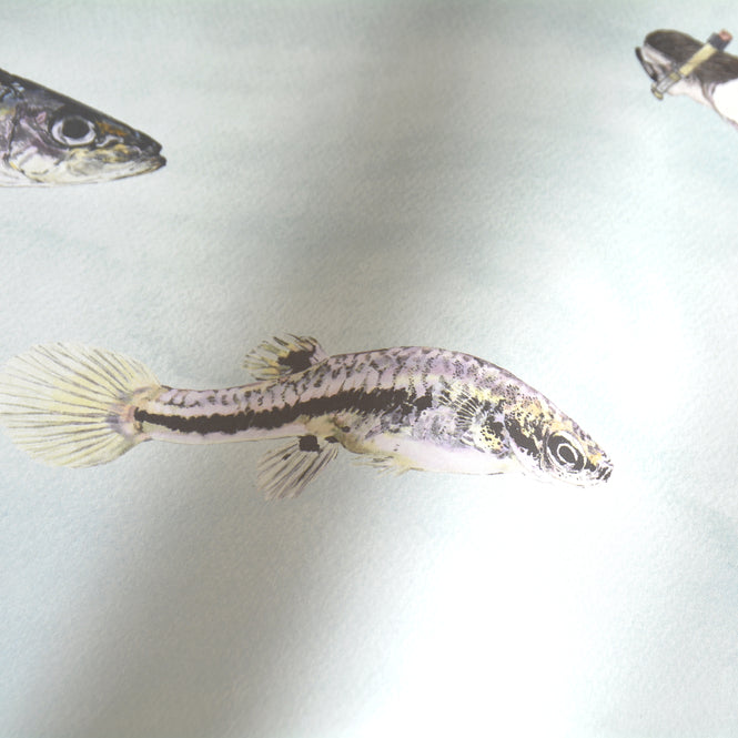 Sian Zeng / Fish Wallpaper / Blue Green FISHBG