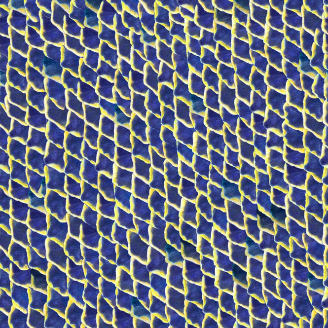coordonne / ESSENTIA 150/50 Fish skin Blue / 5800032