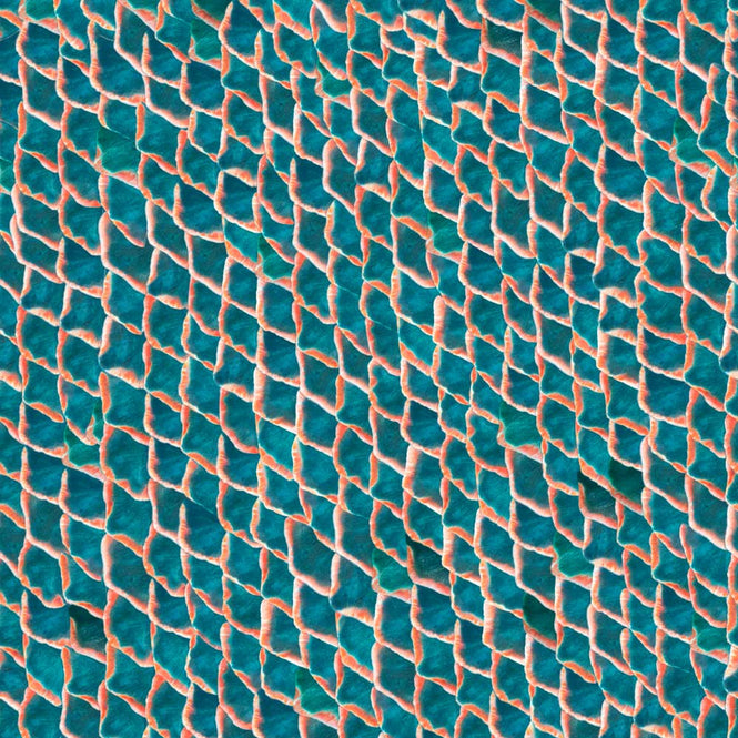 coordonne / ESSENTIA 150/50 Fish skin Original / 5800033