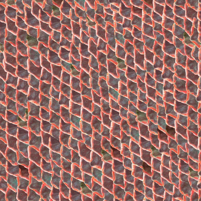 coordonne / ESSENTIA 150/50 Fish skin Red / 5800031