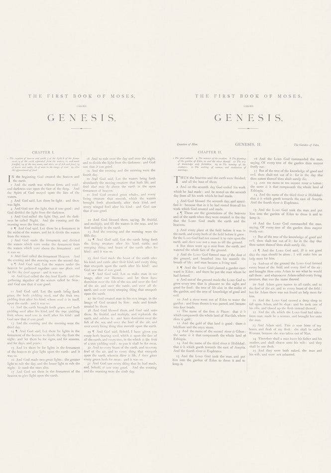 Andrew Martin / SCHOLAR / Genesis