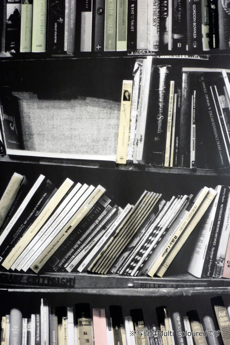Deborah Bowness The Artist Collection / Genuine Fake Bookshelf - Multi-coloured