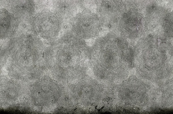 Wall&deco / Gio pagani 12 Presenze / GPW1217