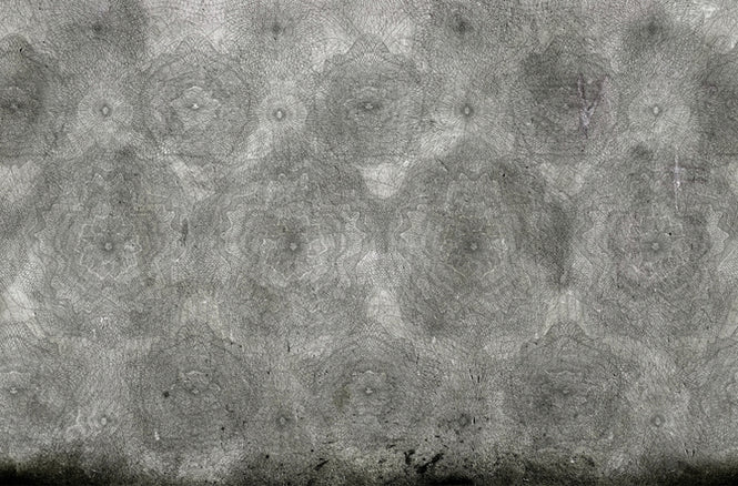 Wall&deco / Gio pagani 12 Presenze / GPW1217